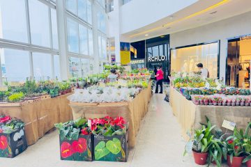 Flores e promoções são atrações de março no Paulista North Way Shopping