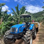 Produtores de banana do Vale do Ribeira poderão ver de perto as novas tecnologias para a cultura