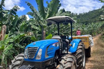 Produtores de banana do Vale do Ribeira poderão ver de perto as novas tecnologias para a cultura