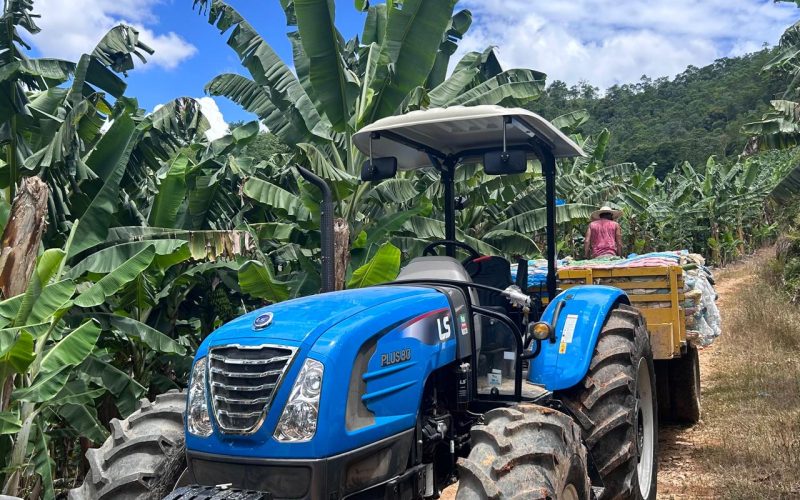 Produtores de banana do Vale do Ribeira poderão ver de perto as novas tecnologias para a cultura