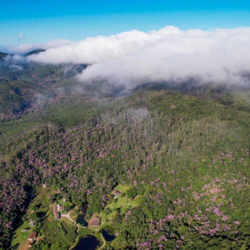 Condemat+ assegura R$ 7,4 milhões para iniciativa de revitalização ambiental no Alto Tietê