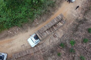Polícia Militar frustra tentativa de roubo de madeira avaliada em cerca de R$ 4,5 mil em Guararema