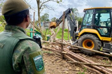 Fiscalização Ambiental em Itaquaquecetuba descobre desmatamento ilegal no Jardim Adriana